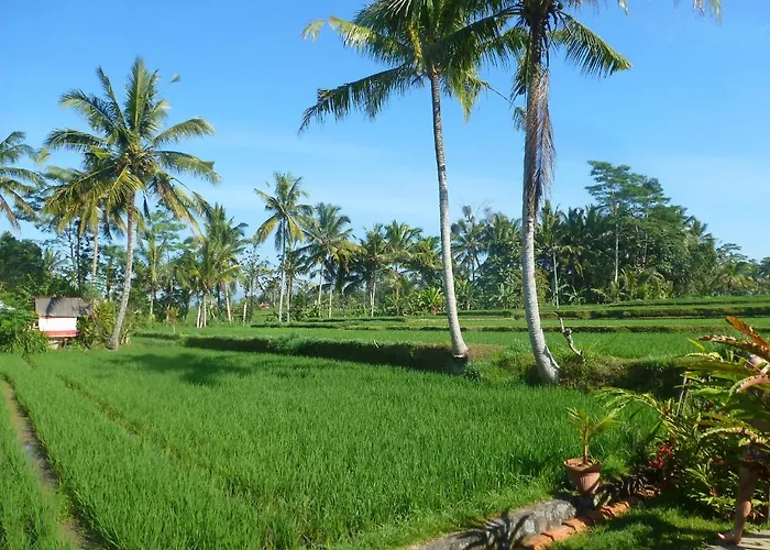 Bali Sawah Indah Maison d'hôtes