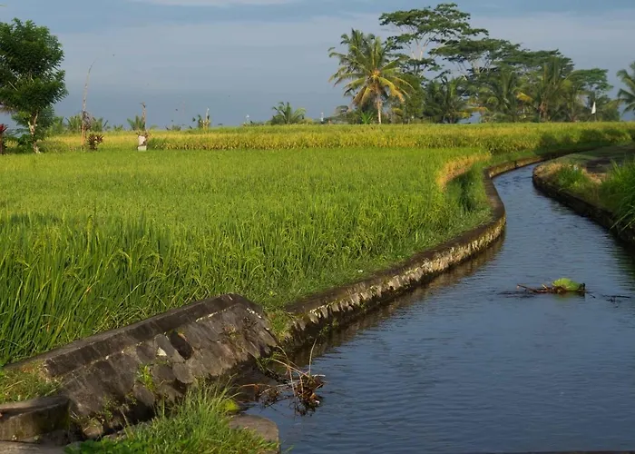 Bali Sawah Indah Maison d'hôtes